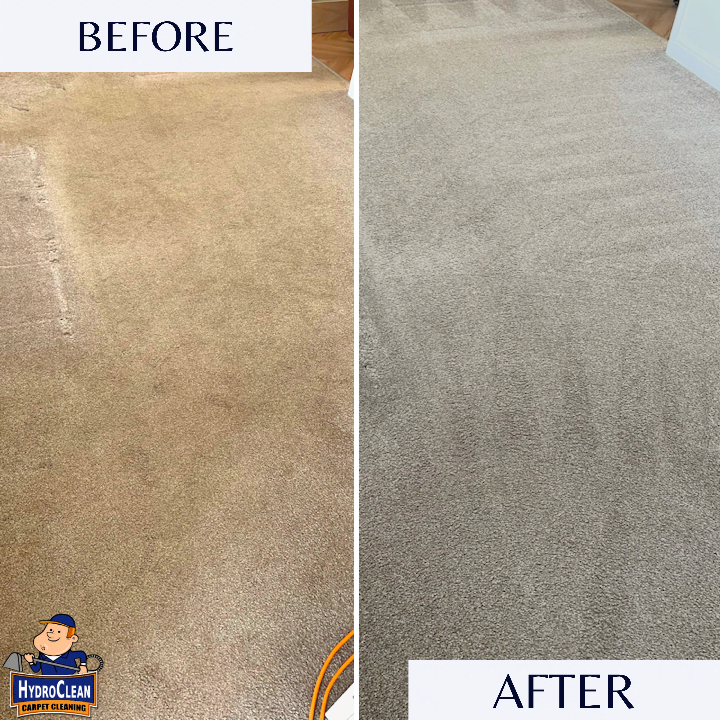 Lounge carpet cleaning in Northampton
