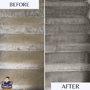 Carpet cleaning stairs carpet in Northampton