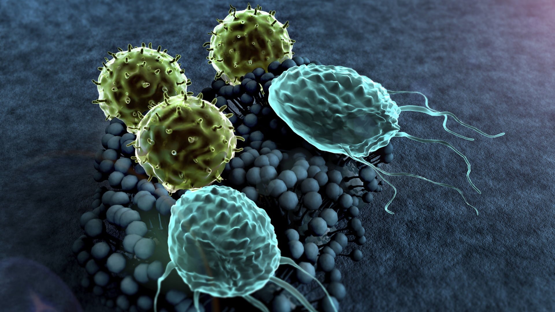 What-lurks-in-your-carpets