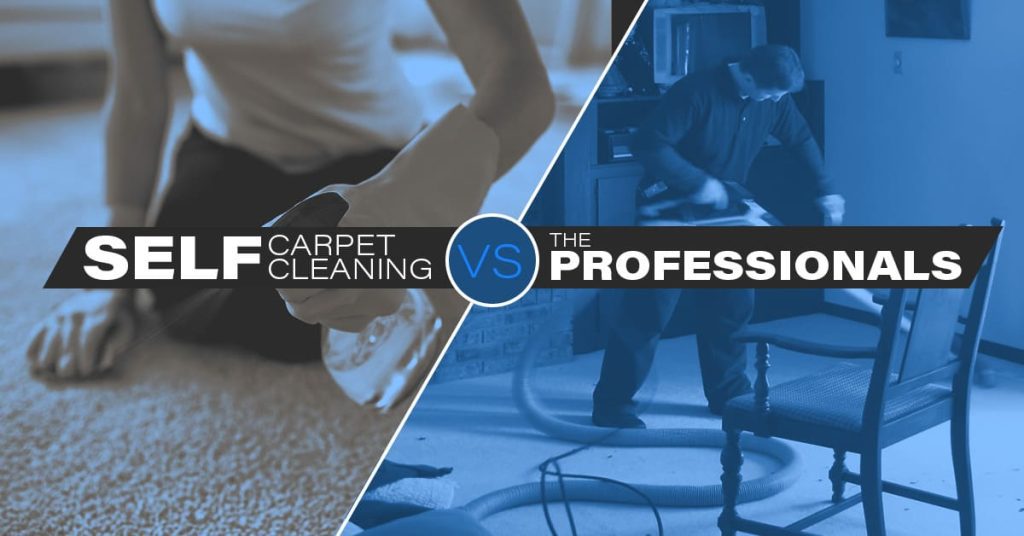 Professional Carpet Cleaning vs. Do-It-Yourself Carpet Cleaning