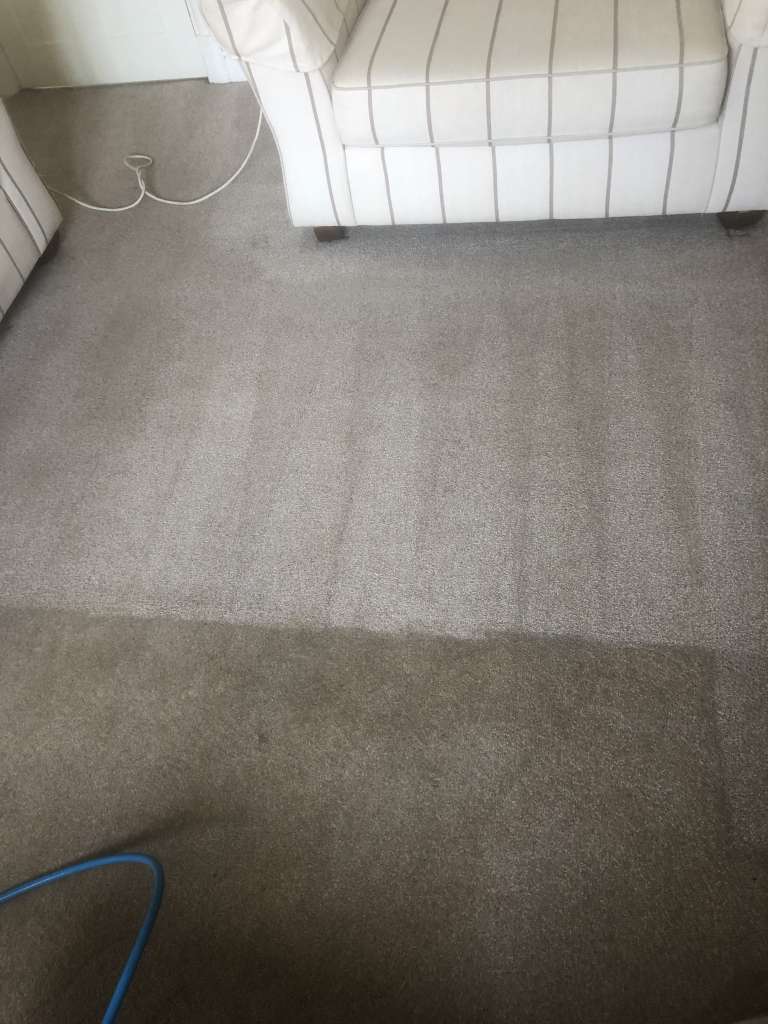 say goodbye to dirty carpets!