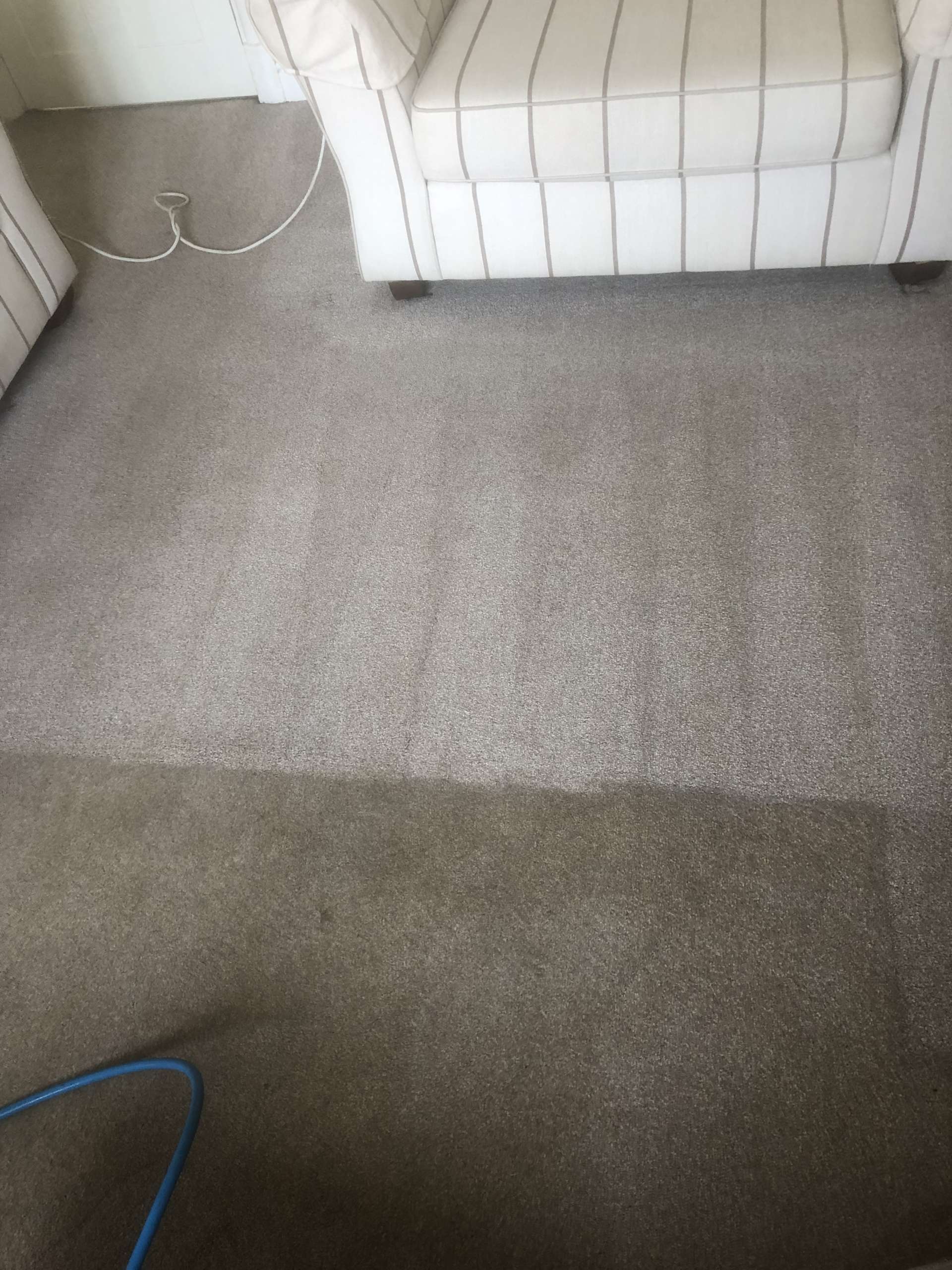 say goodbye to dirty carpets!