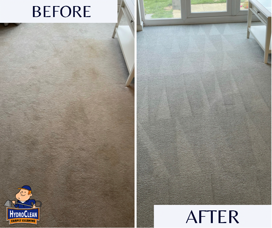 Carpet cleaning lounge carpet in Wellingborough