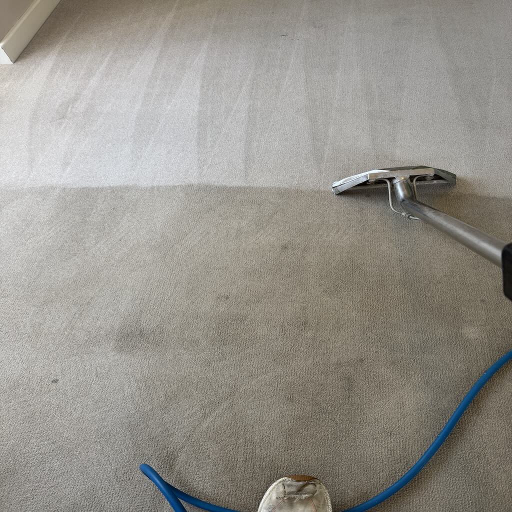 carpet cleaning service