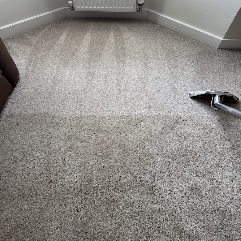 cleaning a carpet in corby
