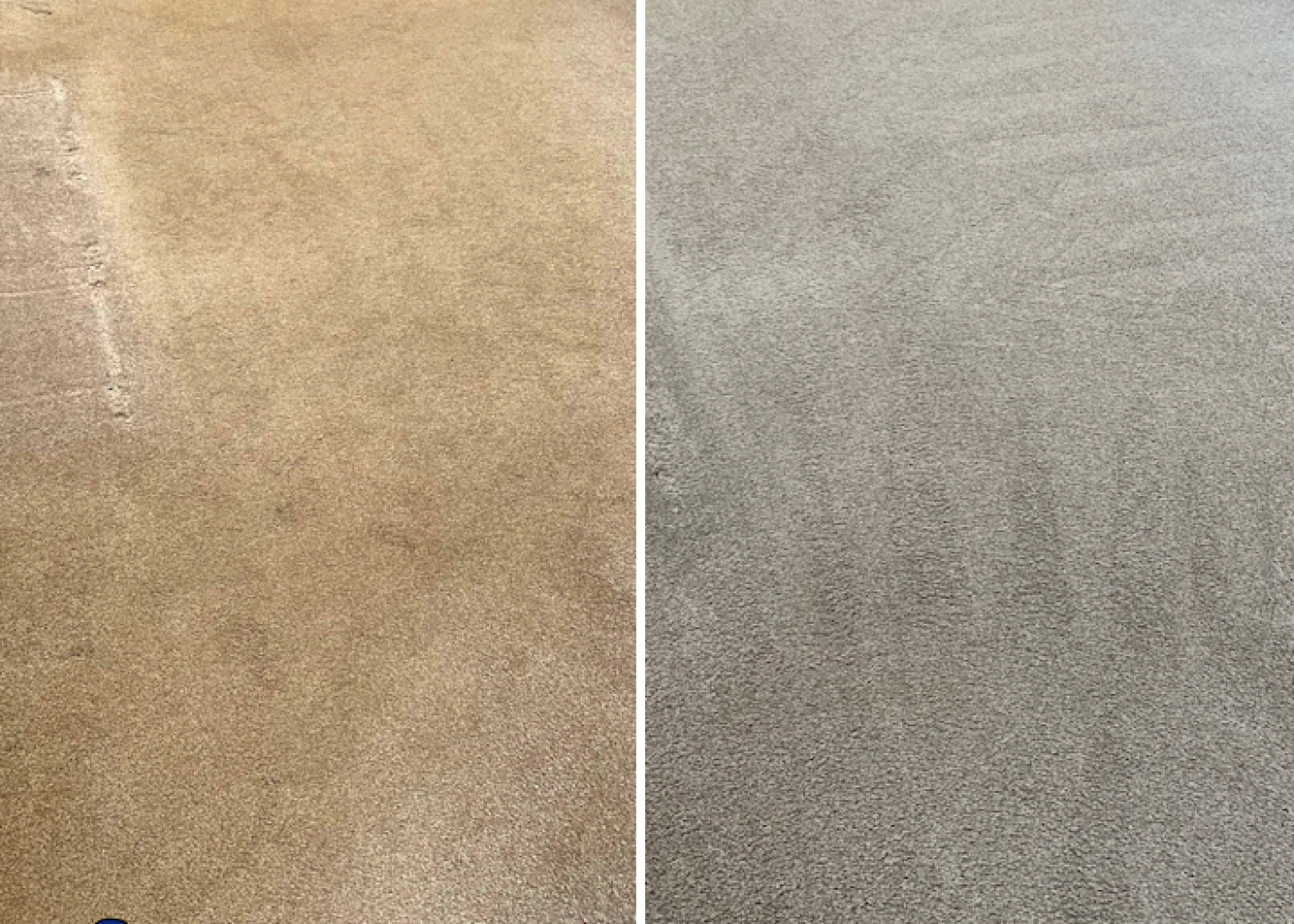 Lounge carpet cleaning in Northampton