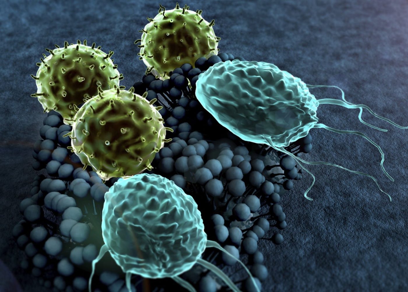 What-lurks-in-your-carpets